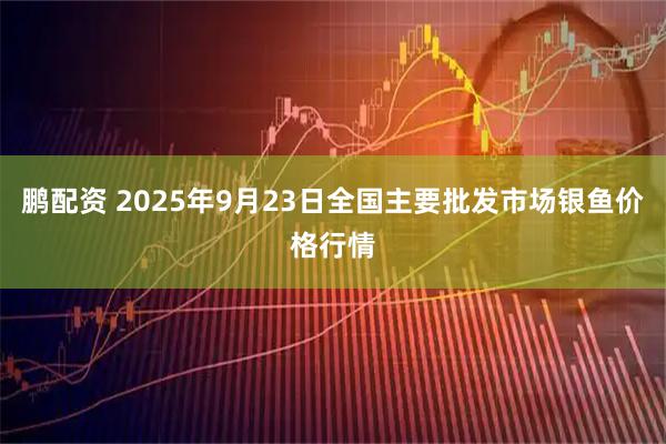 鹏配资 2025年9月23日全国主要批发市场银鱼价格行情