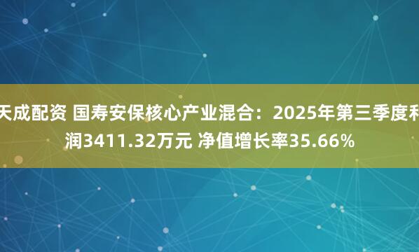 天成配资 国寿安保核心产业混合：2025年第三季度利润3411.32万元 净值增长率35.66%