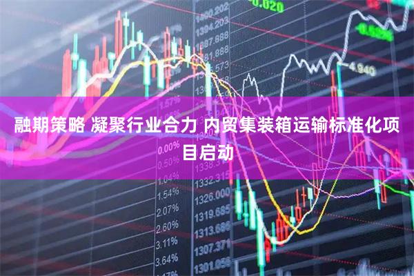 融期策略 凝聚行业合力 内贸集装箱运输标准化项目启动