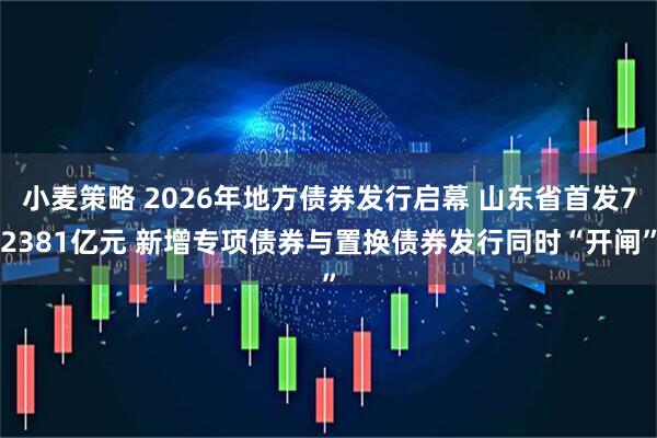 小麦策略 2026年地方债券发行启幕 山东省首发72381亿元 新增专项债券与置换债券发行同时“开闸”