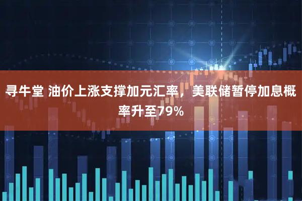 寻牛堂 油价上涨支撑加元汇率，美联储暂停加息概率升至79%