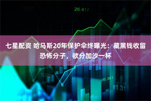 七星配资 哈马斯20年保护伞终曝光：藏黑钱收留恐怖分子，欲分加沙一杯